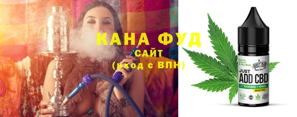 МДПВ Михайлов