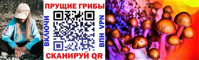цены наркотик  Щигры  mega как войти  Галлюциногенные грибы Psilocybe 
